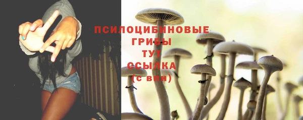 apvp Арсеньев