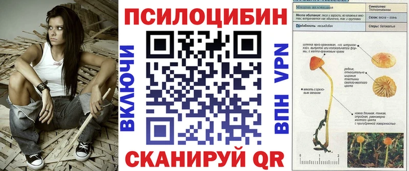 Псилоцибиновые грибы Magic Shrooms  кракен сайт  Сортавала 